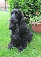img_0038 img_0038