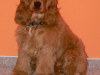 artus3